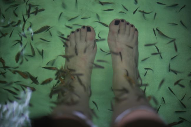 fish pedicure