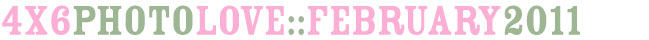 online scrapbooking class :: 4x6 photo love february 2011