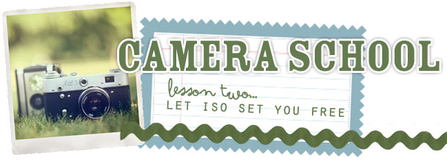 photography class for scrapbookers :: setting ISO