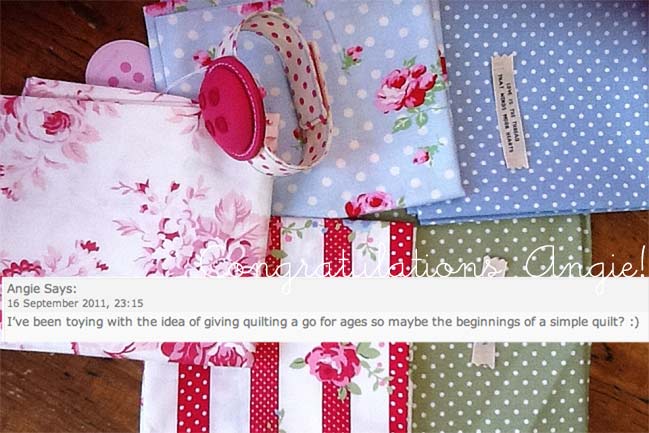 fabric giveaway from owl & sewing cat