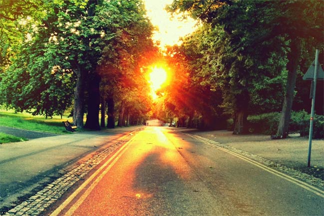 greenwich park sunset