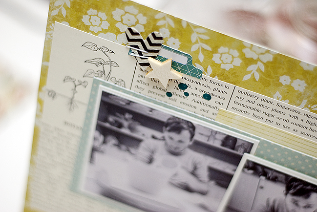 Sketch to Scrapbook Page:: Rectangular Photos by Stephanie Berger @ shimelle.com