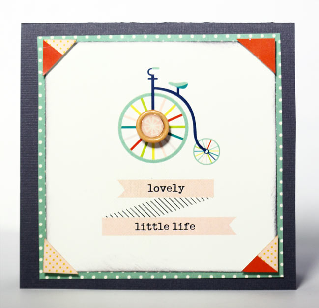 true stories collection - scrapbooking & paper craft supplies from shimelle and american crafts